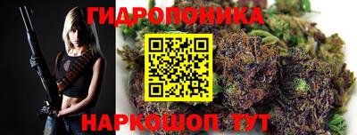 МДПВ Пенза