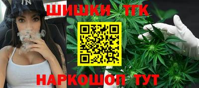 МДПВ Пенза