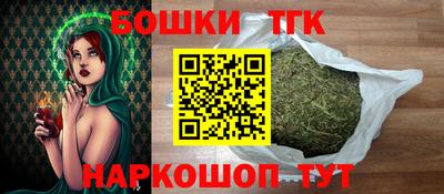 МДПВ Пенза