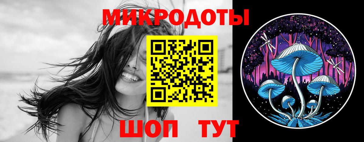 Галлюциногенные грибы Cubensis Соль-Илецк