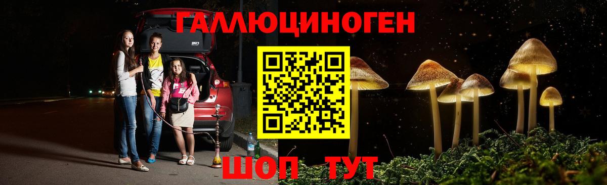Соль-Илецк  Галлюциногенные грибы Psilocybine cubensis  Псилоцибиновые грибы Cubensis  Вход с VPN 